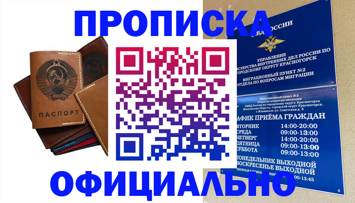 временная прописка в Химках